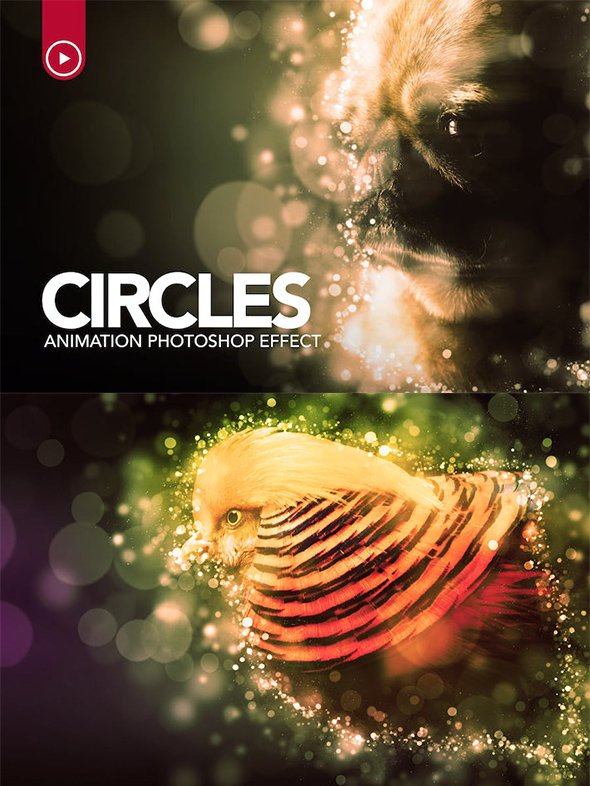 GraphicRiver - Gif Animated Circles Photoshop Action - 18266389