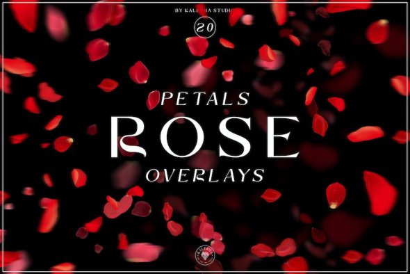 Rose Petals Overlays - MH8JE7R