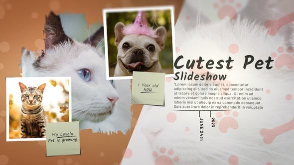 VideoHive - Cutest Pet Slideshow - 47239191