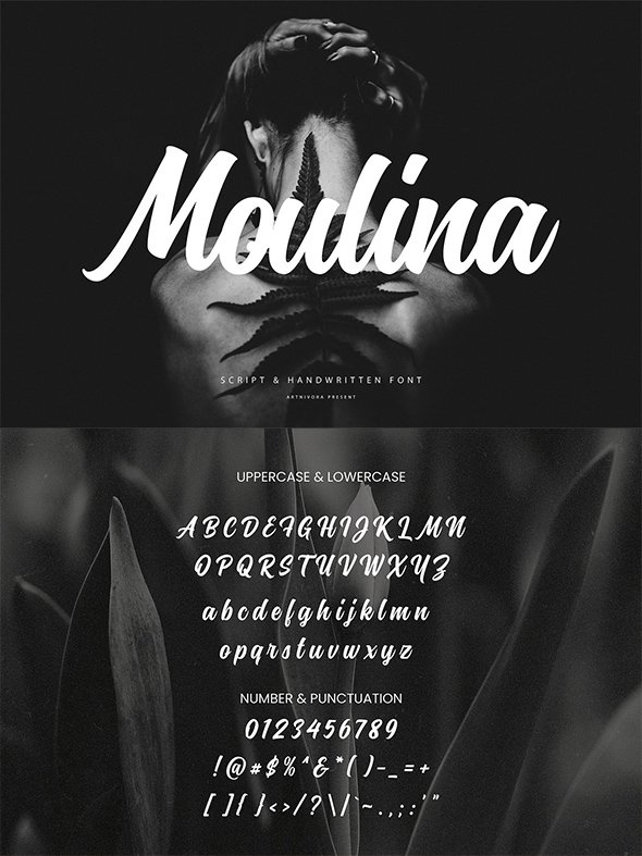 CreativeMarket - Moulina - Script & Handwritten Font - 31379529