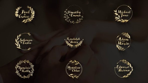 MotionArray - Gold And Silver Wedding Titles - 1295159