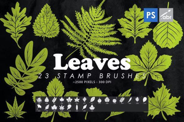 23 Leaves Photoshop Stamp Brushes - VNK8QT3