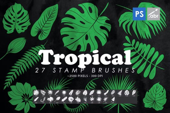 27 Tropical Leaves Photoshop Stamp Brushes - F8FPNUM