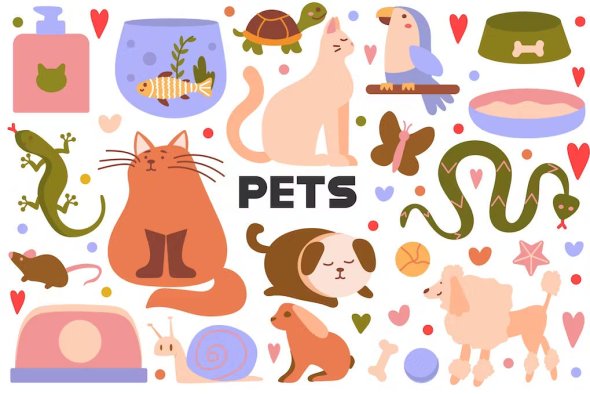 Pets Flat Cartoon Set - MKSBWQV