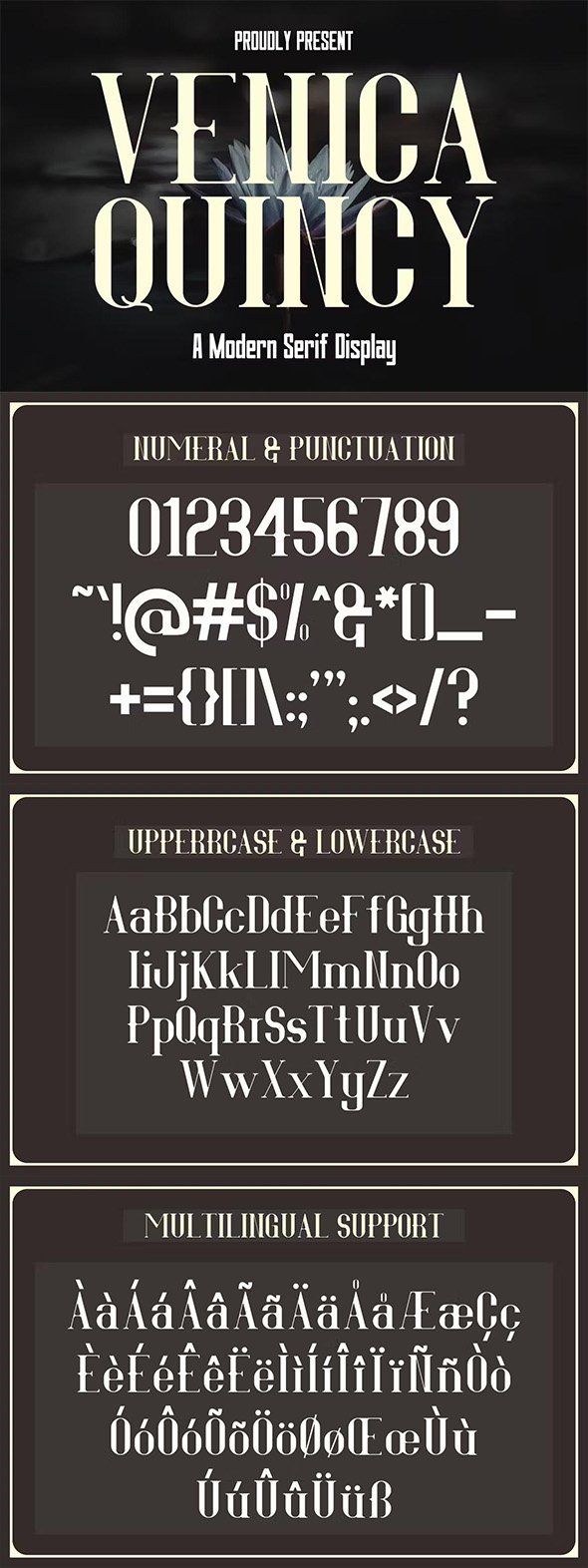 Venica Quincy - Modern Serif Display - 4BUZMZE
