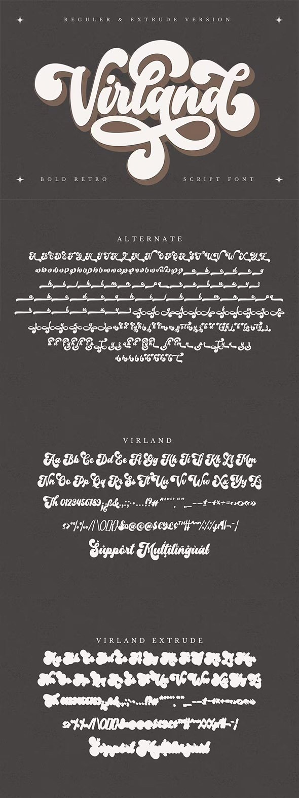Virland - Bold Retro Script Font - CKDC5VP