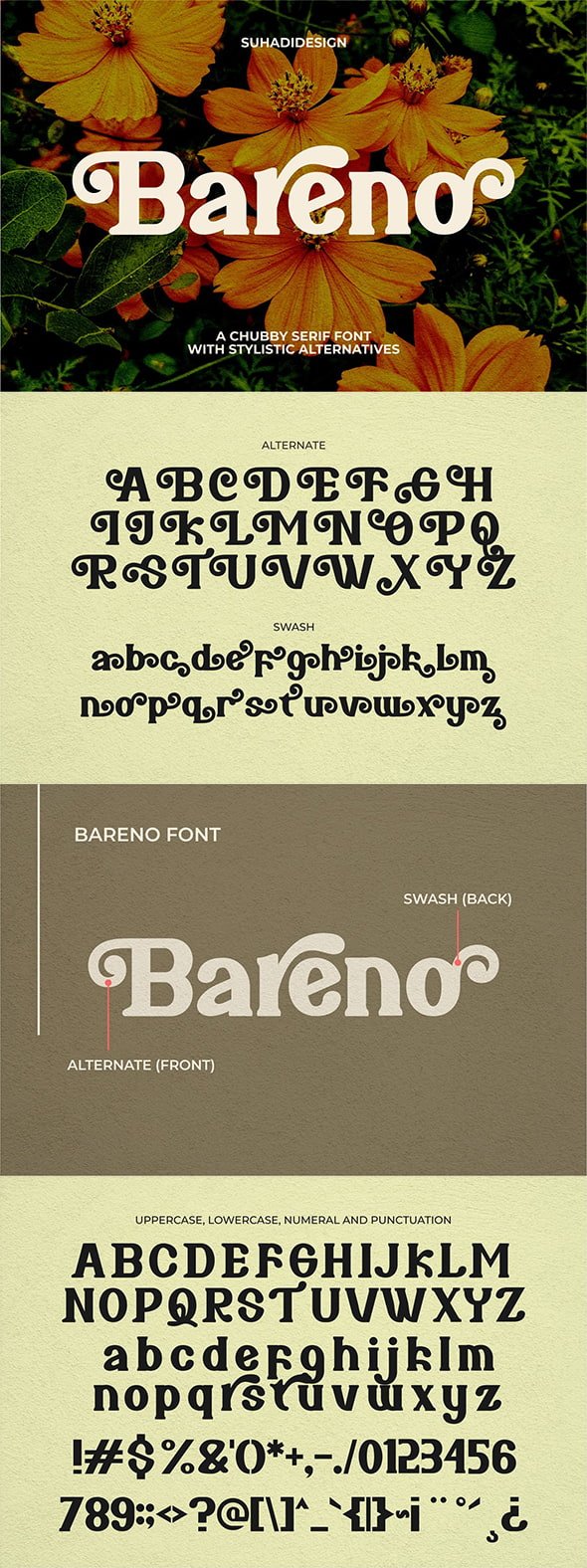 CreativeMarket - Bareno Modern Retro Serif Font - 10200299