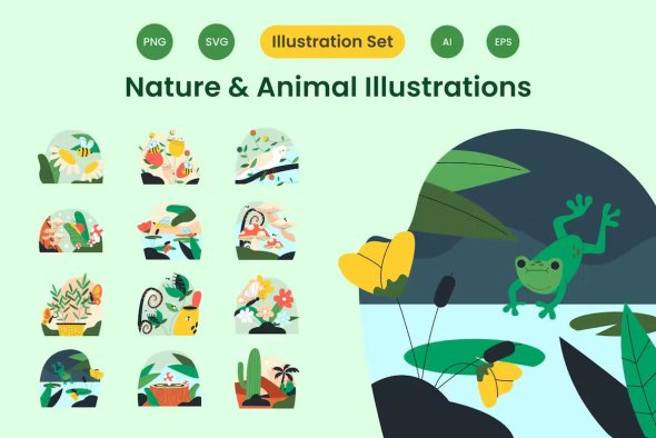 Nature & Animal Illustration