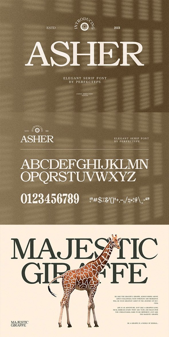 CreativeMarket - Asher Elegant Serif Font Typeface - 91568177