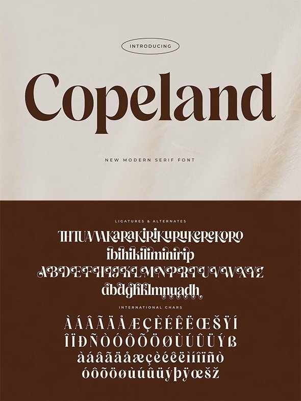 Copeland Modern Serif Font - 9362THC
