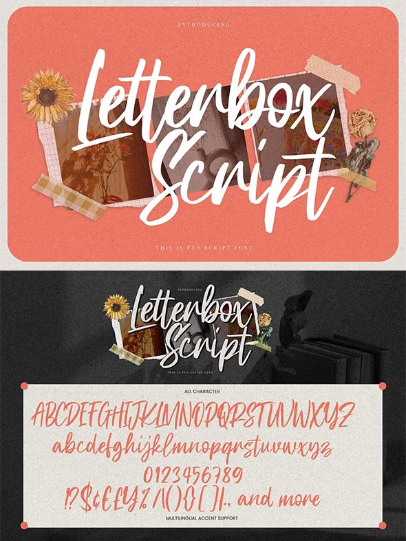 Letterbox Script - This is Fun Script Font - A84AAKY
