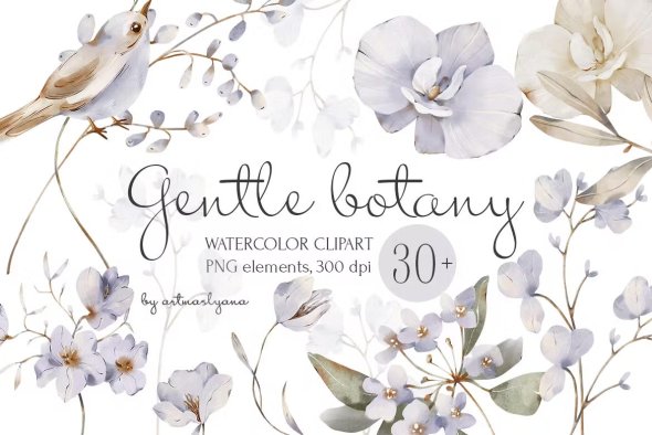 Watercolor Collection Gentle Botany Clipart - UXEU6JH