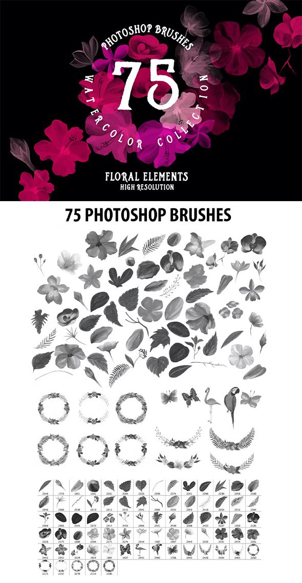 75 Photoshop Brushes Watercolor Collection