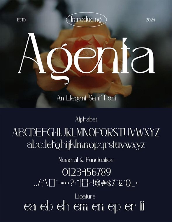 Agenta - Elegant Serif Font - F59XD2R