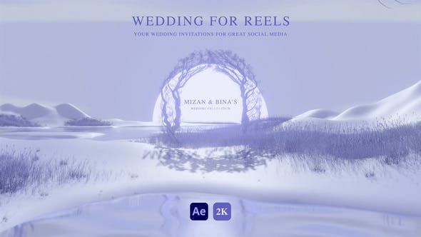 VideoHive - Wedding Invitation for Instagram Reels - 51508657