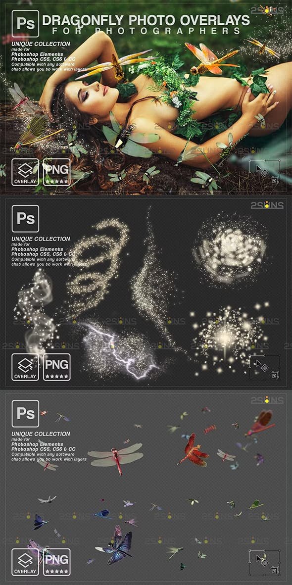 CreativeMarket - Dragonfly photo overlays Fireflies V2 - 10962420