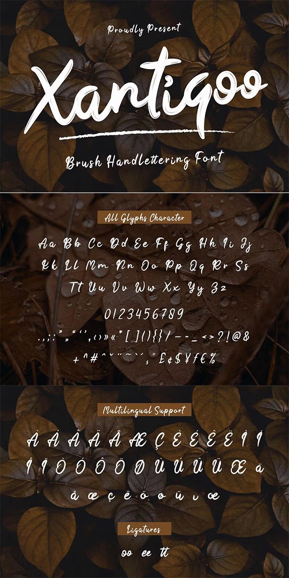 Xantiqoo - Brush Handwritten Font - 7VE8YXM