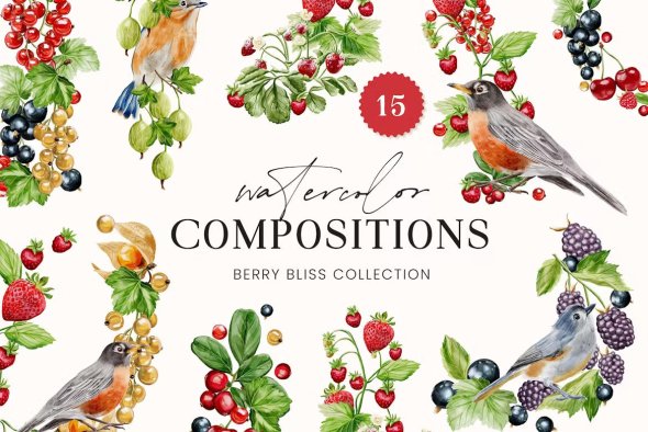 Berry Bliss Watercolor Compositions - 5TGSS9W
